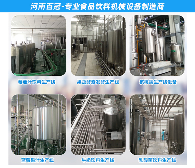 小型柠檬果汁饮料生产线加工设备